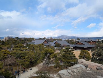 元離宮二条城に投稿された画像（2025/2/24）