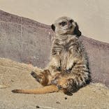 東武動物公園に投稿された画像（2025/2/24）