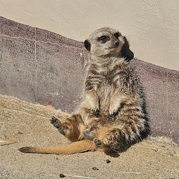 東武動物公園に投稿された画像（2025/2/24）