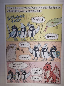 特別展「鳥 ～ゲノム解析が解き明かす新しい鳥類の系統～」国立科学博物館に投稿された画像（2025/2/24）