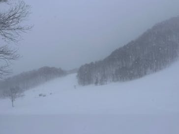 会津高原だいくらスキー場に投稿された画像（2025/2/24）