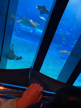 仙台うみの杜水族館に投稿された画像（2025/2/24）