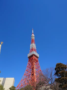 東京タワーに投稿された画像（2025/2/24）