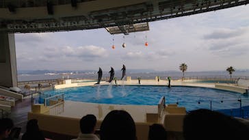 マリンワールド海の中道に投稿された画像（2025/2/24）