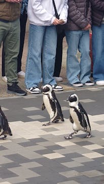 マリンワールド海の中道に投稿された画像（2025/2/24）