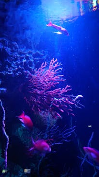 マリンワールド海の中道に投稿された画像（2025/2/24）