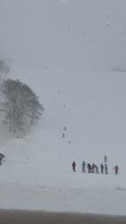 氷ノ山国際スキー場に投稿された画像（2025/2/24）