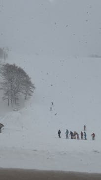 氷ノ山国際スキー場に投稿された画像（2025/2/24）