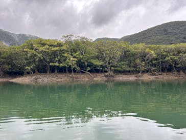 マングローブ茶屋に投稿された画像（2025/2/24）