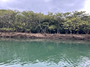 マングローブ茶屋に投稿された画像（2025/2/24）