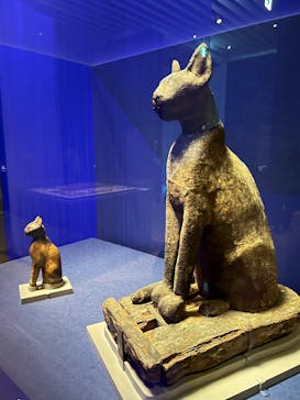 ブルックリン博物館所蔵 特別展 古代エジプトに投稿された画像（2025/2/24）