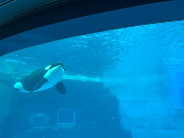 名古屋港水族館に投稿された画像（2025/2/24）
