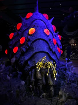 金曜ロードショーとジブリ展　三重展に投稿された画像（2025/2/24）