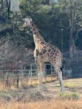 名古屋市東山動植物園に投稿された画像（2025/2/24）