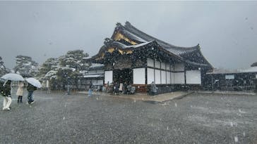 元離宮二条城に投稿された画像（2025/2/24）