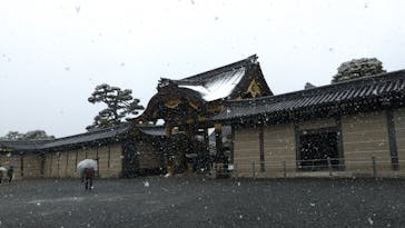 元離宮二条城に投稿された画像（2025/2/24）