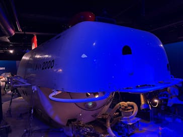 新江ノ島水族館に投稿された画像（2025/2/24）