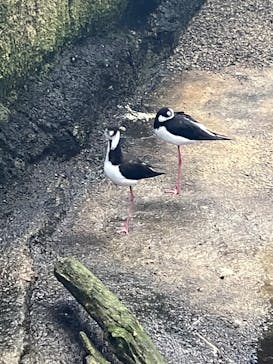 那須どうぶつ王国に投稿された画像（2025/2/24）