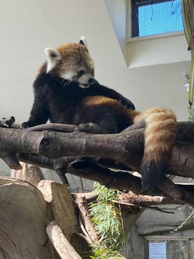 那須どうぶつ王国に投稿された画像（2025/2/24）