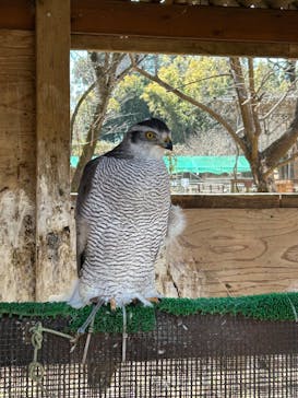 ダチョウ王国石岡ファームに投稿された画像（2025/2/24）