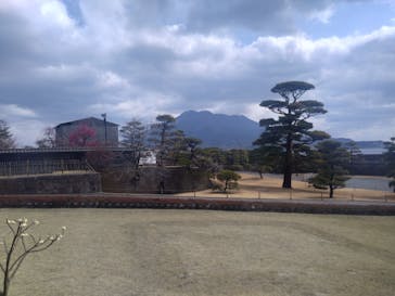 仙巌園に投稿された画像（2025/2/24）