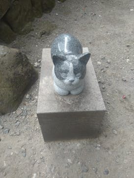 仙巌園に投稿された画像（2025/2/24）