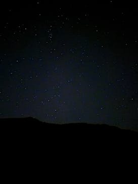 大井川鐵道株式会社に投稿された画像（2025/2/24）