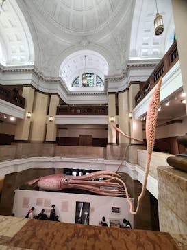 国立科学博物館に投稿された画像（2025/2/24）