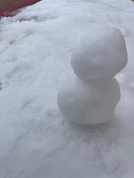 ひらかたパークに投稿された画像（2025/2/24）