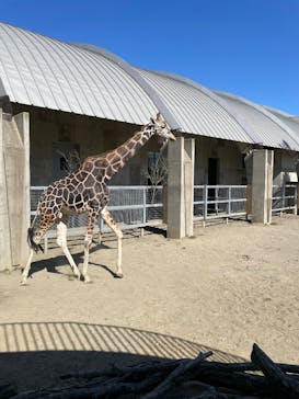 霞ケ浦 どうぶつとみんなのいえに投稿された画像（2025/2/24）