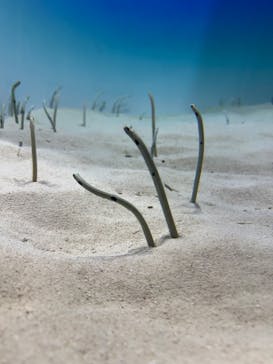 アクアワールド茨城県大洗水族館に投稿された画像（2025/2/24）