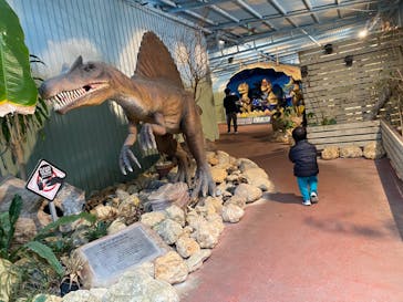 ナゴパイナップルパークに投稿された画像（2025/2/24）