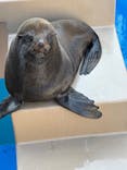 アクアワールド茨城県大洗水族館に投稿された画像（2025/2/24）