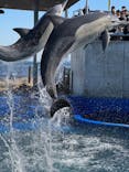 大分マリーンパレス水族館 「うみたまご」に投稿された画像（2025/2/24）