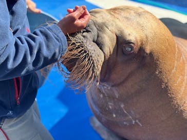 大分マリーンパレス水族館 「うみたまご」に投稿された画像（2025/2/24）