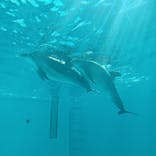 しながわ水族館に投稿された画像（2025/2/24）