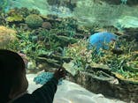 名古屋港水族館に投稿された画像（2025/2/24）