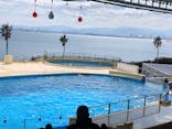 マリンワールド海の中道に投稿された画像（2025/2/24）