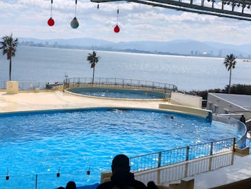 マリンワールド海の中道に投稿された画像（2025/2/24）