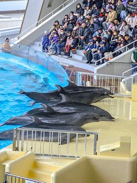 マリンワールド海の中道に投稿された画像（2025/2/24）