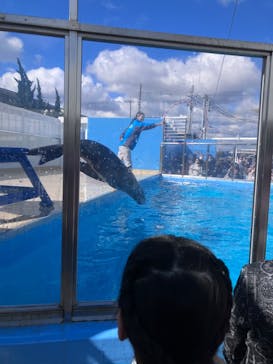 竹島水族館に投稿された画像（2025/2/24）