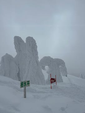 阿仁スキー場に投稿された画像（2025/2/24）
