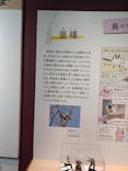 特別展「鳥 ～ゲノム解析が解き明かす新しい鳥類の系統～」国立科学博物館に投稿された画像（2025/2/24）