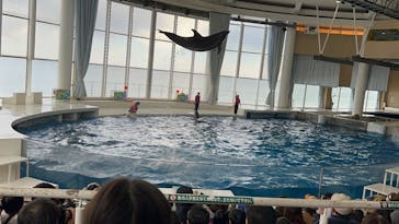 アクアワールド茨城県大洗水族館に投稿された画像（2025/2/24）