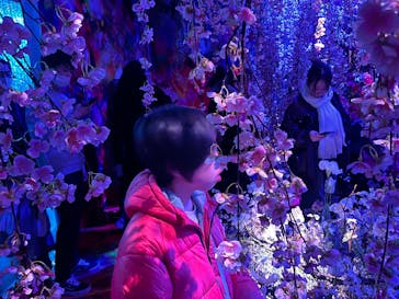 蜷川実花展 with EiM：彼岸の光、此岸の影 NINAGAWA Mika with EiM：Lights of the beyond, Shadows of this worldに投稿された画像（2025/2/24）