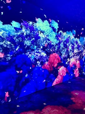 動き出す浮世絵展 TOKYOに投稿された画像（2025/2/24）