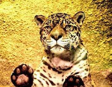 那須どうぶつ王国に投稿された画像（2025/2/24）