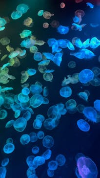 すみだ水族館に投稿された画像（2025/2/24）