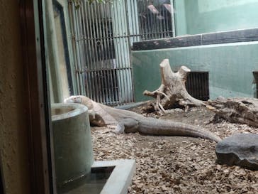 名古屋市東山動植物園に投稿された画像（2025/2/24）