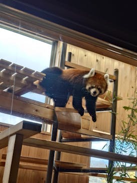 名古屋市東山動植物園に投稿された画像（2025/2/24）